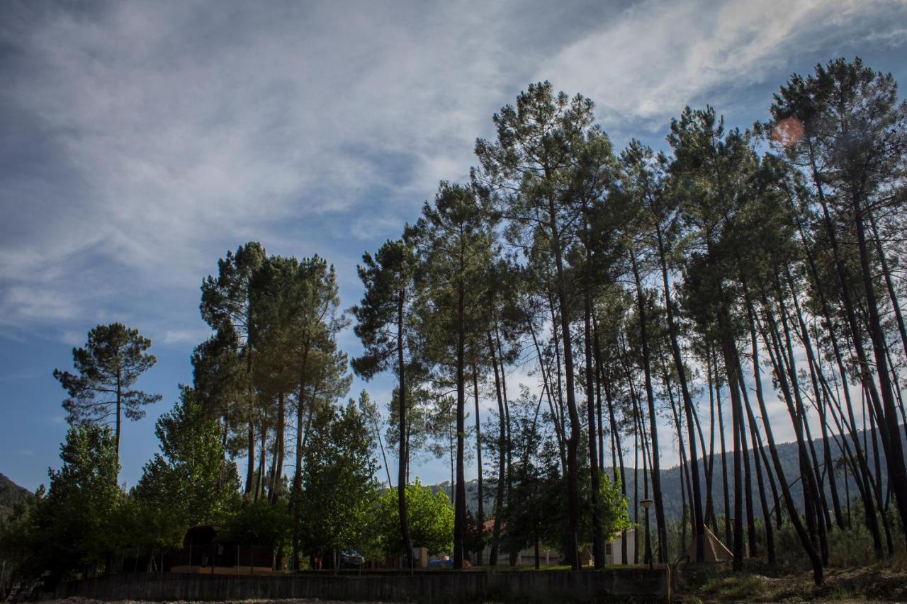 Xisto Camping Janeiro de Baixo Экстерьер фото